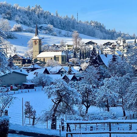 Apartment Im Emmental Oberburg Экстерьер фото